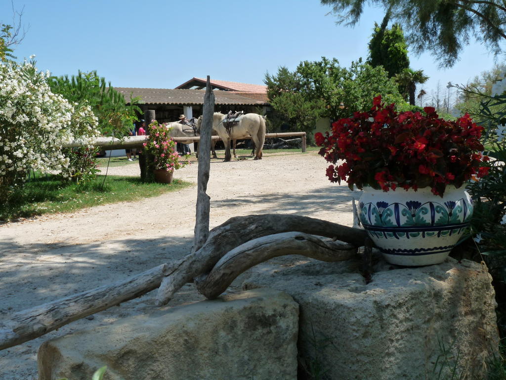 Bed and Breakfast Bergerie d'Alivon en Camargue à Albaron Extérieur photo